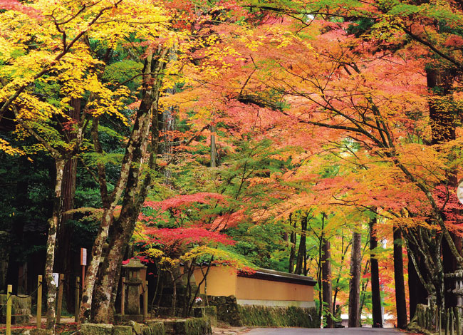 佛通寺