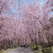 世羅甲山ふれあいの里