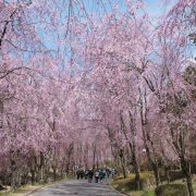 世羅甲山ふれあいの里