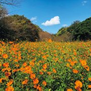 ときわ公園