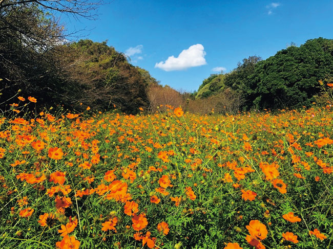 ときわ公園