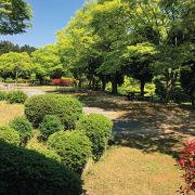 野呂山キャンプ場・オートキャンプ場