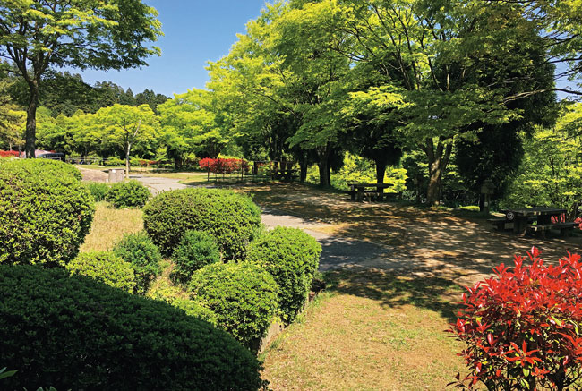 野呂山キャンプ場・オートキャンプ場