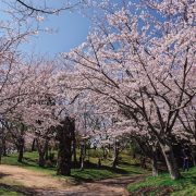 ときわ公園