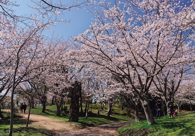 ときわ公園