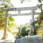 白兎神社