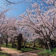 ときわ公園