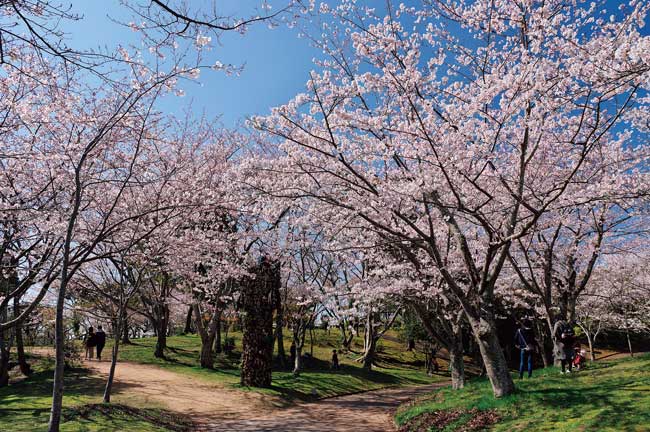 ときわ公園