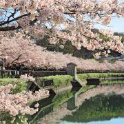 庄原上野公園