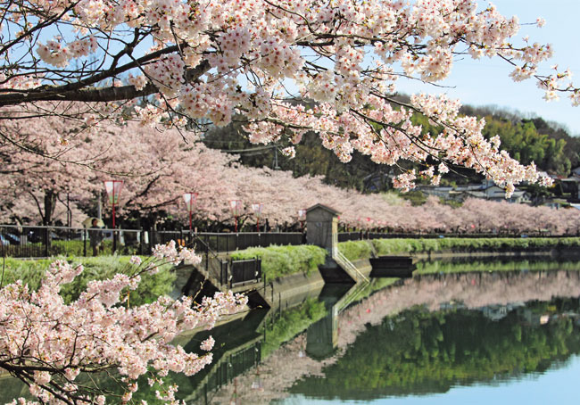 庄原上野公園