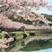 庄原上野公園