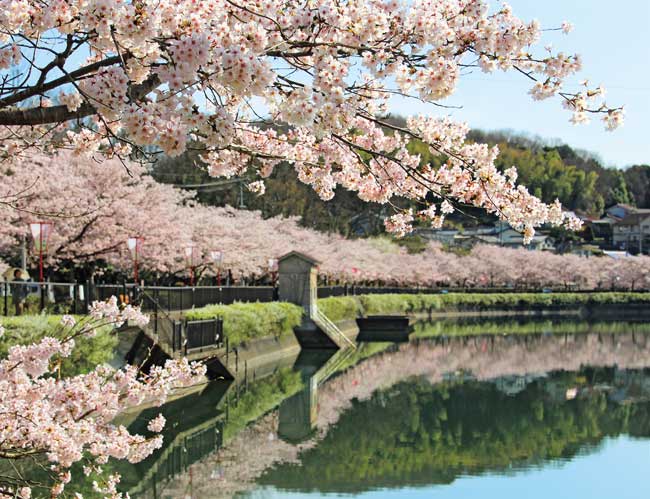 庄原上野公園