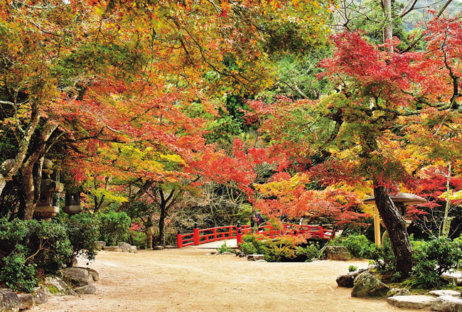 紅葉谷公園