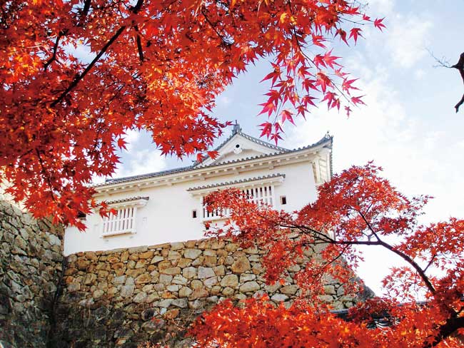 津山城（鶴山公園）