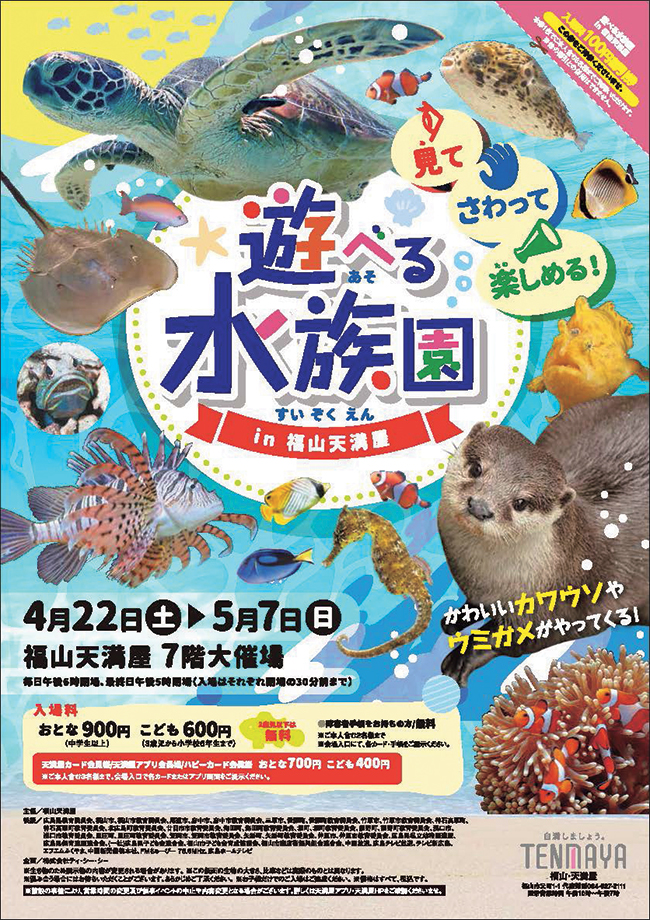 かわいい水中の生き物たちを見て＆触れて