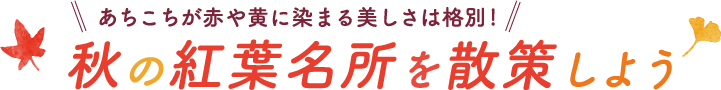 あちこちが赤や黄に染まる美しさは格別!　秋の紅葉名所を散策しよう