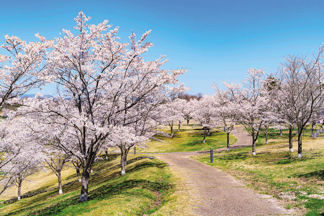 国営備北丘陵公園