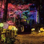 水の都“花”と“光”のフェスティバル フェスタ・ルーチェ in 松江 ＠松江フォーゲルパーク