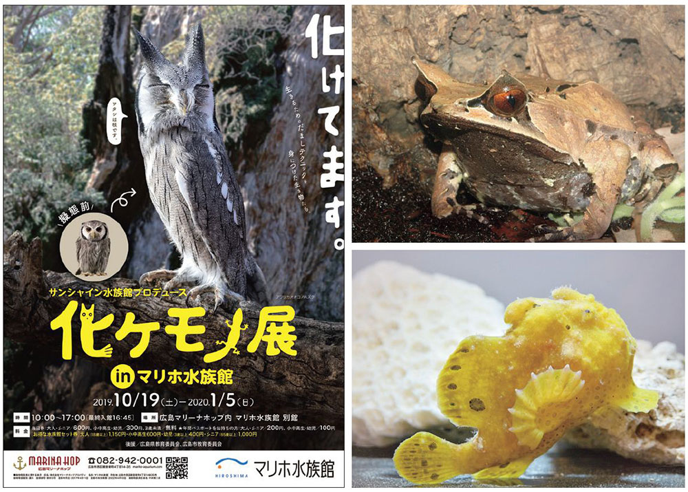 開催中?2020／1／5（日）　サンシャイン水族館プロデュース 化ケモノ展 in マリホ水族館