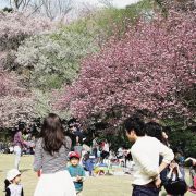 広島市植物公園