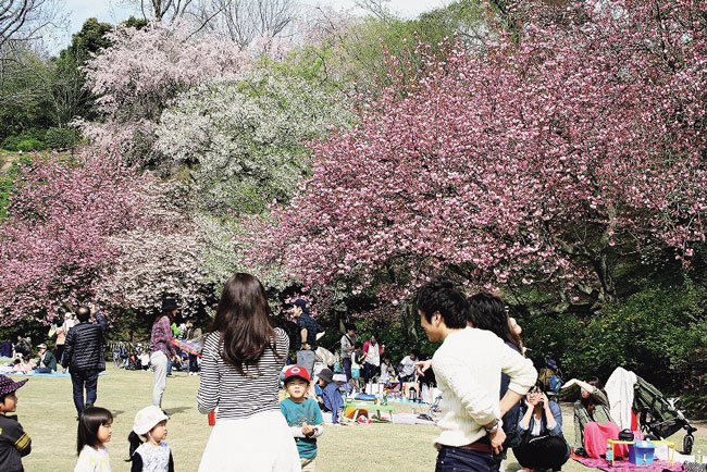 広島市植物公園