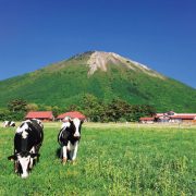 大山まきばみるくの里