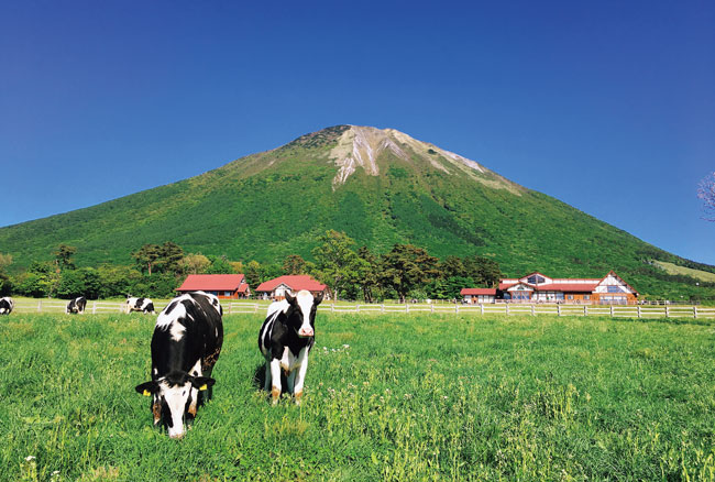 大山まきばみるくの里