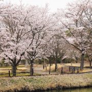 おかやまフォレストパーク ドイツの森