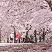 とっとり花回廊