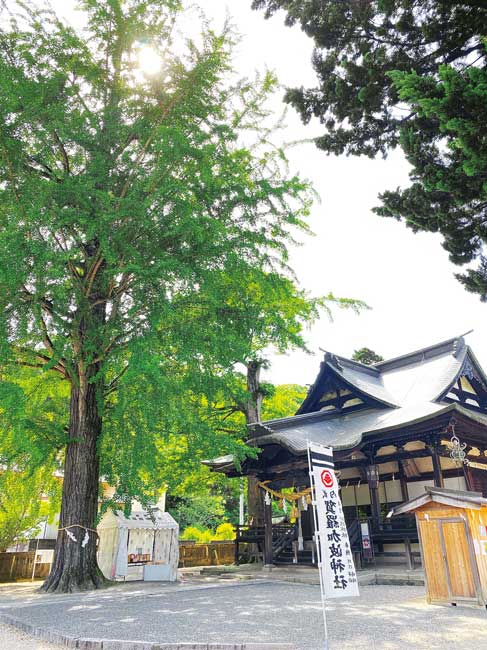 手しごと市×神社の異色コラボにワクワク