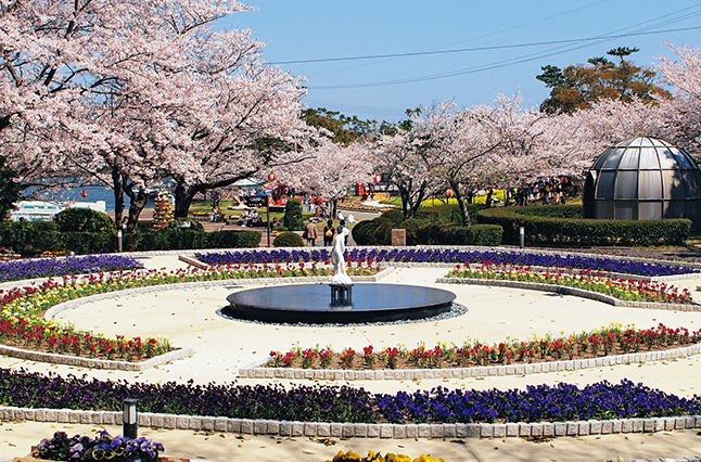 ときわ公園《春たび案内》