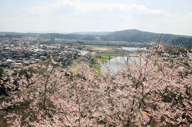 桜色に染まる三次の街は行きたい場所がありすぎる！《三次／春たび案内》