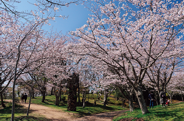 あっちもこっちも花盛り！春の到来に心躍る公園へ《宇部／春たび案内》