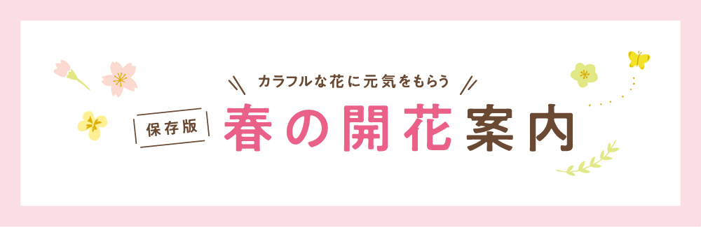 《保存版》春の開花案内