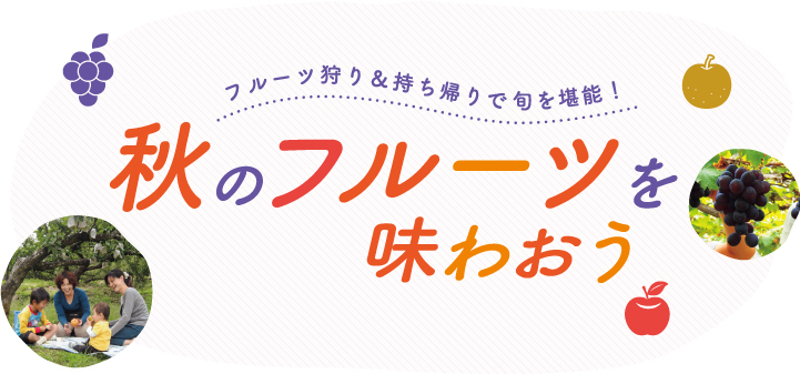 フルーツ狩り＆ 持ち帰りで旬を堪能！　秋のフルーツを 味わおう