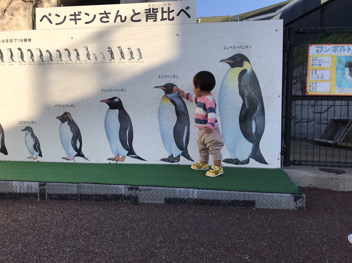 キュートな姿に癒やされたい！休日は動物園でのんびりと。